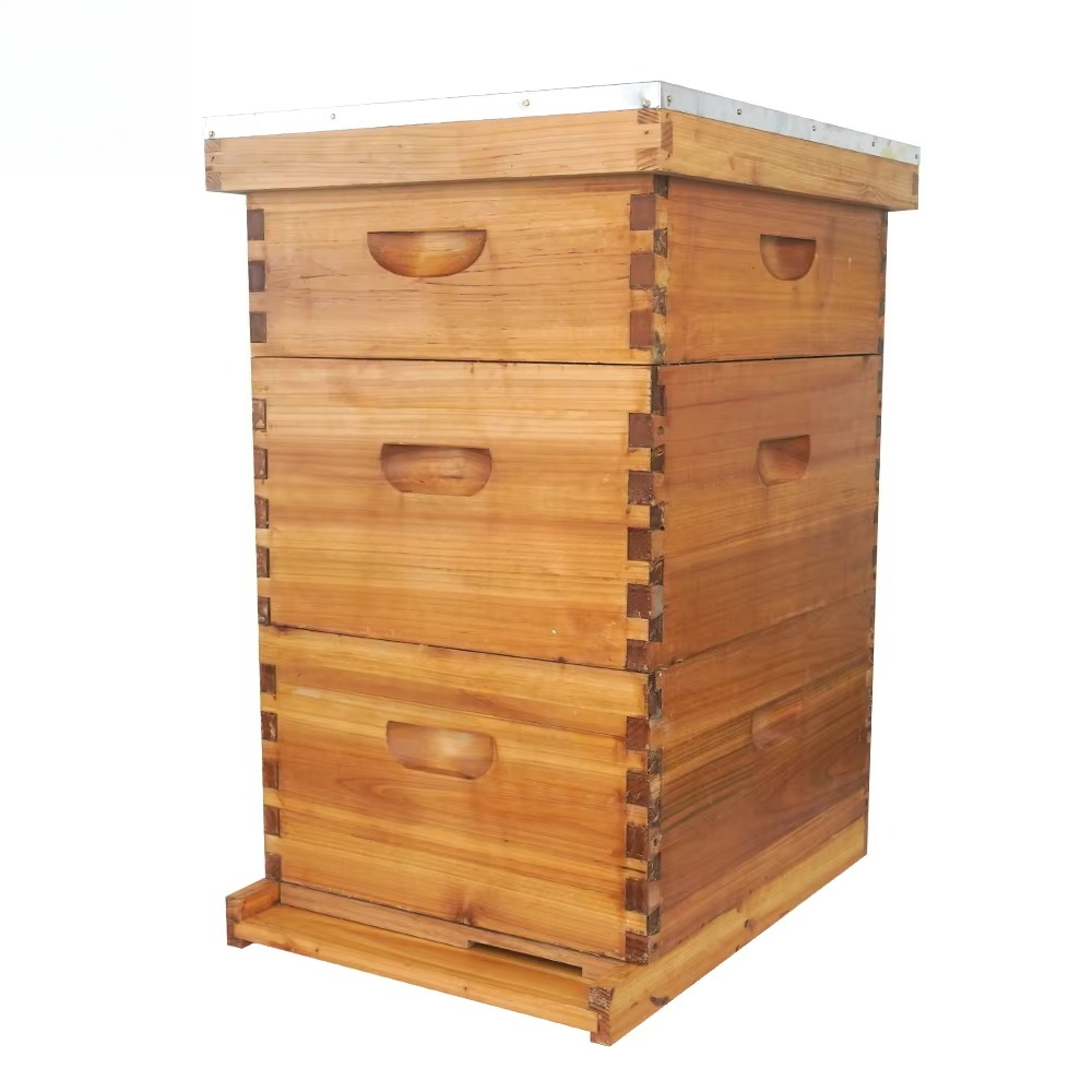3 katmanlı, balmumu ile kaplan - Beehive Frame Wax incelemesi ve fiyatı